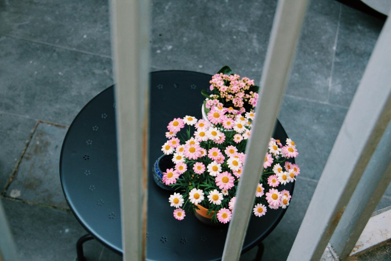 Santa Clara Bed & Breakfast เนเปิลส์ ภายนอก รูปภาพ