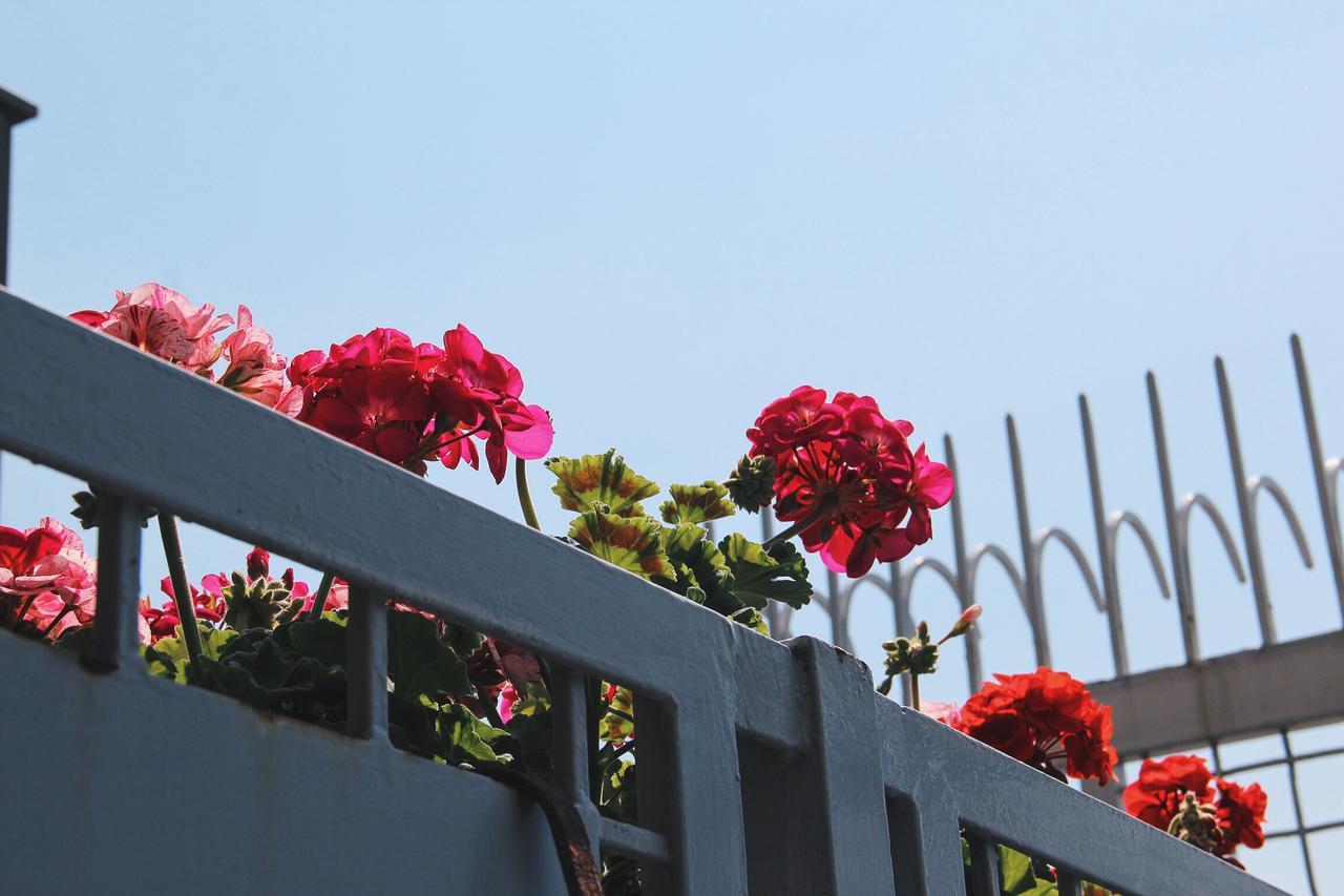 Santa Clara Bed & Breakfast เนเปิลส์ ภายนอก รูปภาพ